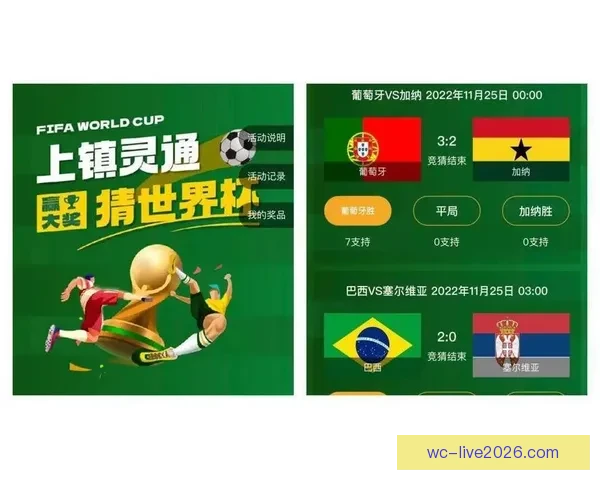 世界杯竞猜投注平台深度解析与安全选择策略全指南