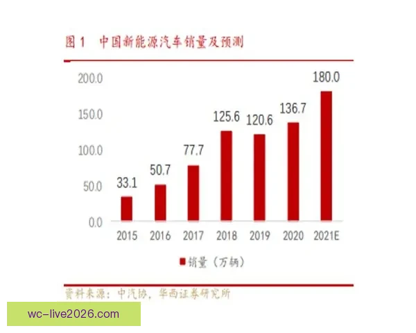 世界杯竞猜赔率全解析：热门球队胜率与冷门潜力全面预测