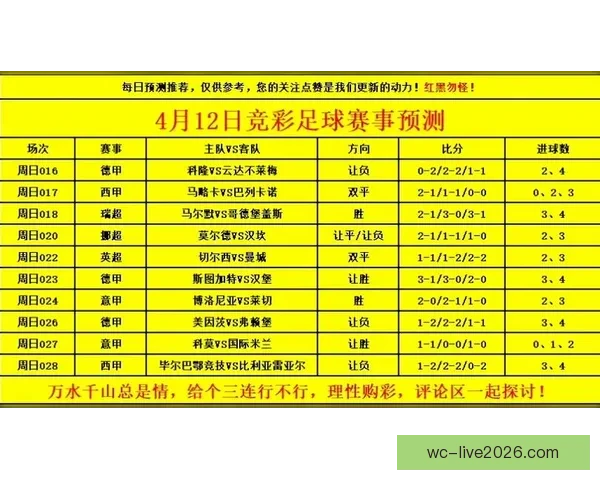 世界杯竞猜赔率全解析，助你精准预测比赛胜负走势