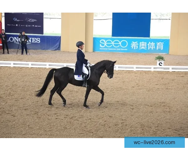 国家级马术盛会落户陕西 盛装舞步诠释完美人马合一